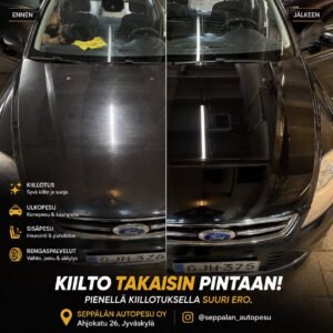 Seppälän Autopesu (4)