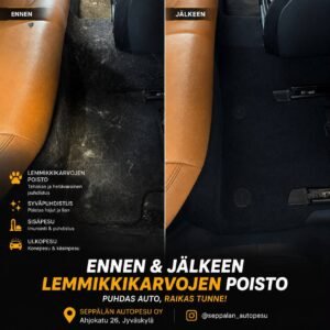 Seppälän Autopesu (8)